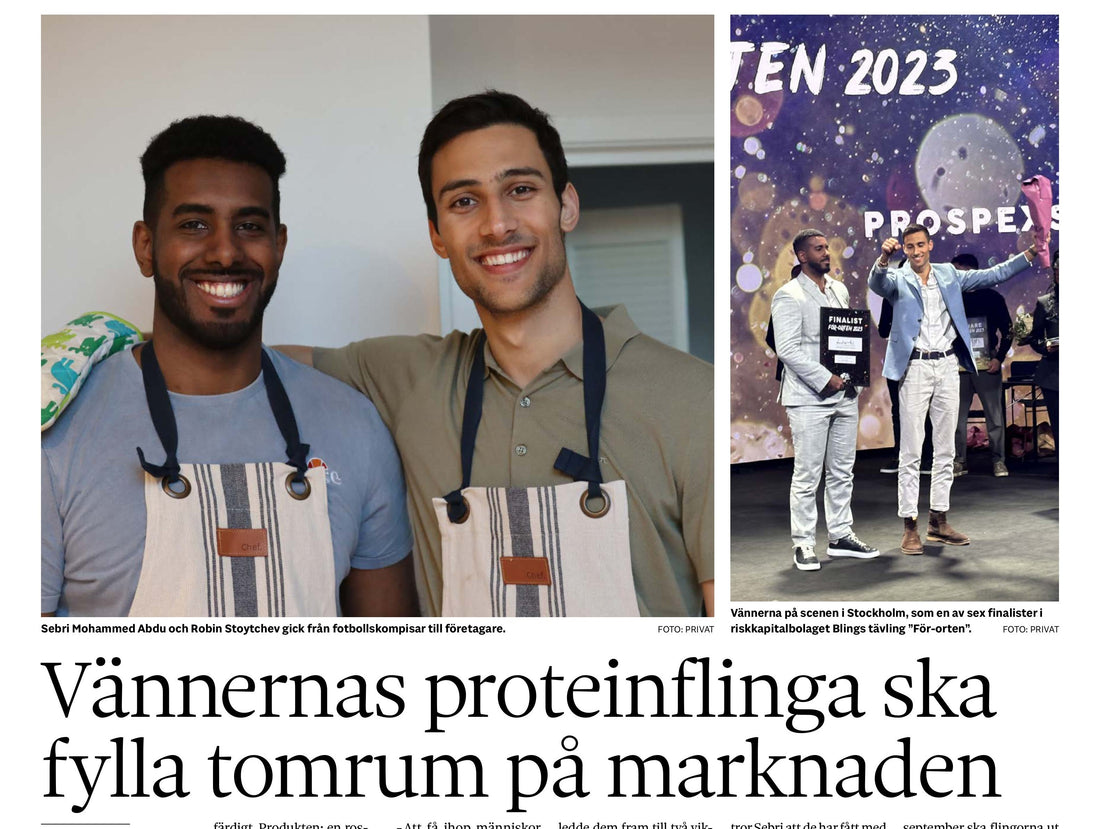 Sydsvenskan Artikel